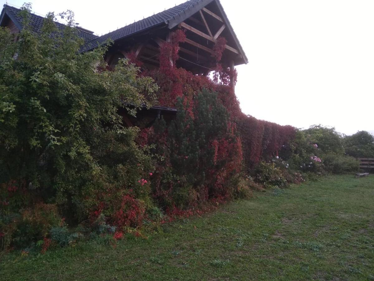 Agroturystyka Bogdanki Stary Targ Buitenkant foto