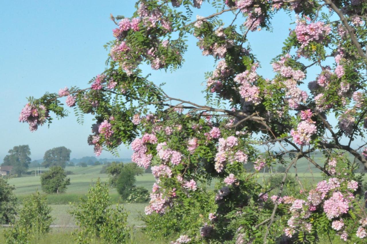 Agroturystyka Bogdanki Stary Targ Buitenkant foto