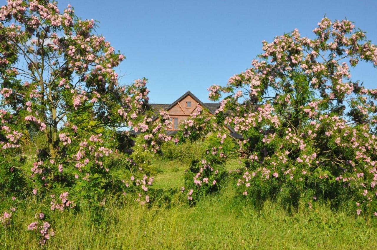 Agroturystyka Bogdanki Stary Targ Buitenkant foto